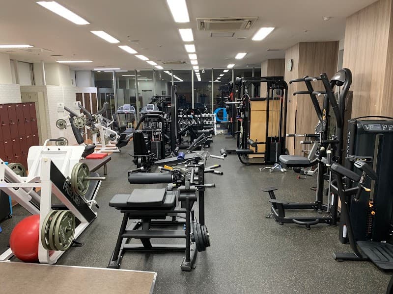 D-MAX STUDIO