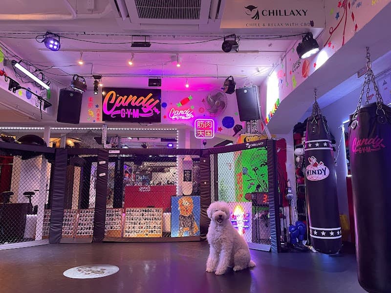 CANDY GYM キャンディジム